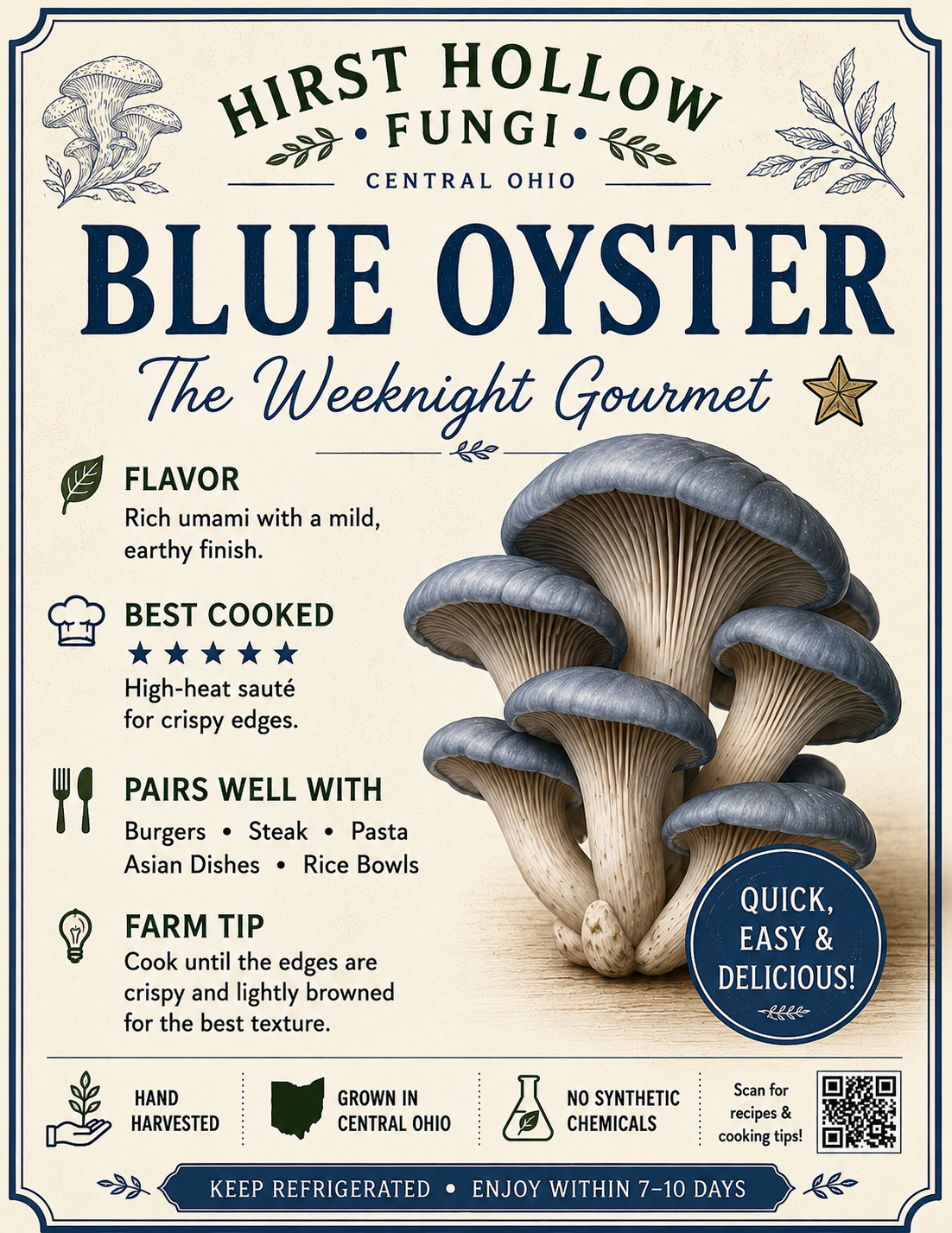 Blue Oyster