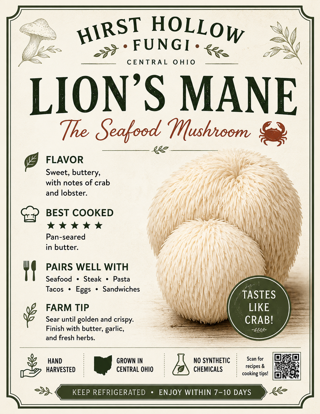 Lion's Mane