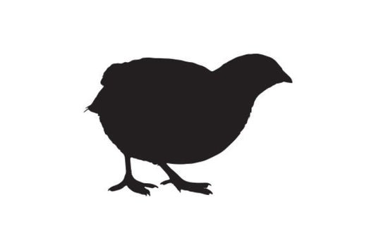 Quail -Button