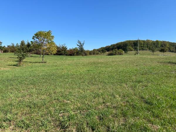 RV and Boat Storage - Outdoor